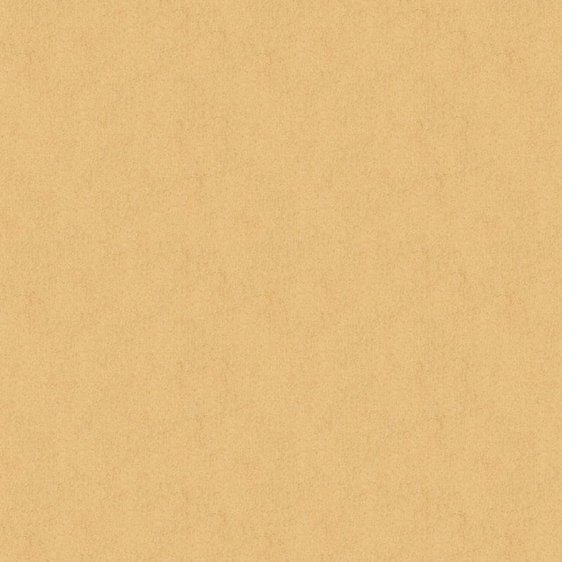 Americana carpet by Masland