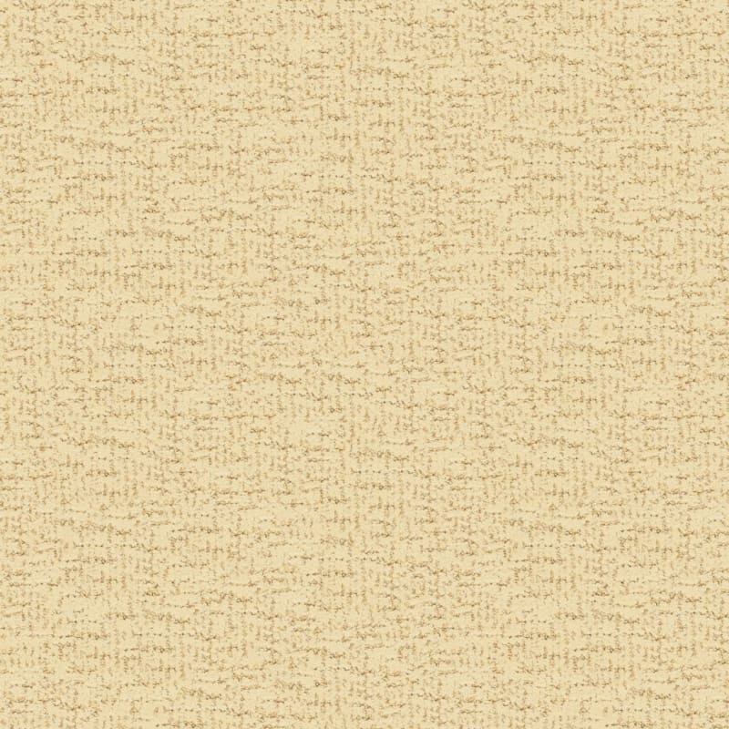 Dorado carpet by Masland