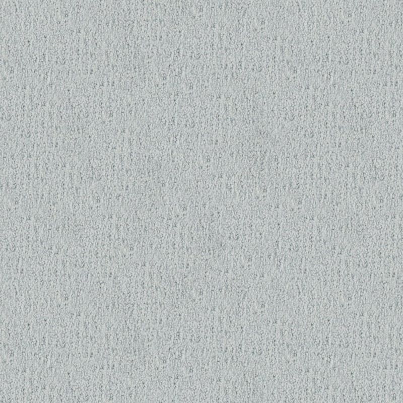 Santa Barbara carpet by Masland
