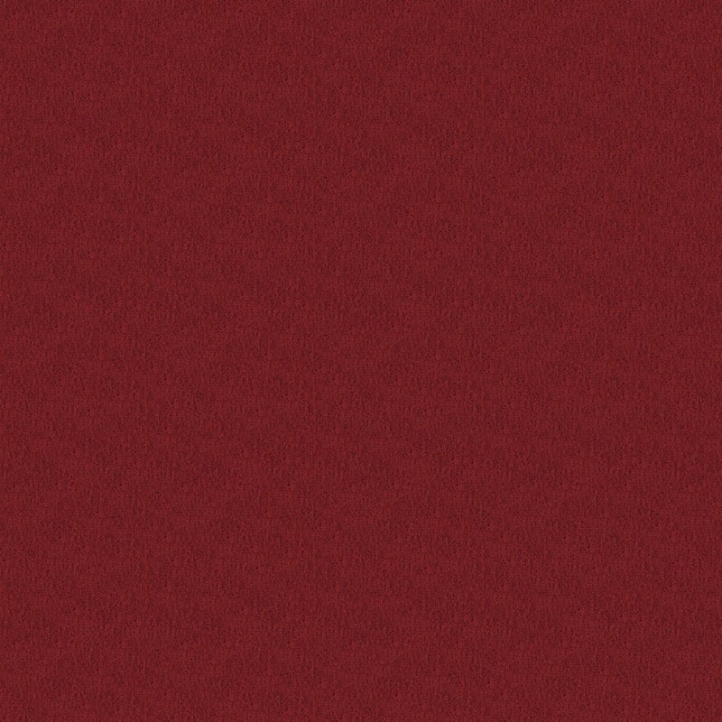 Panache carpet by Masland