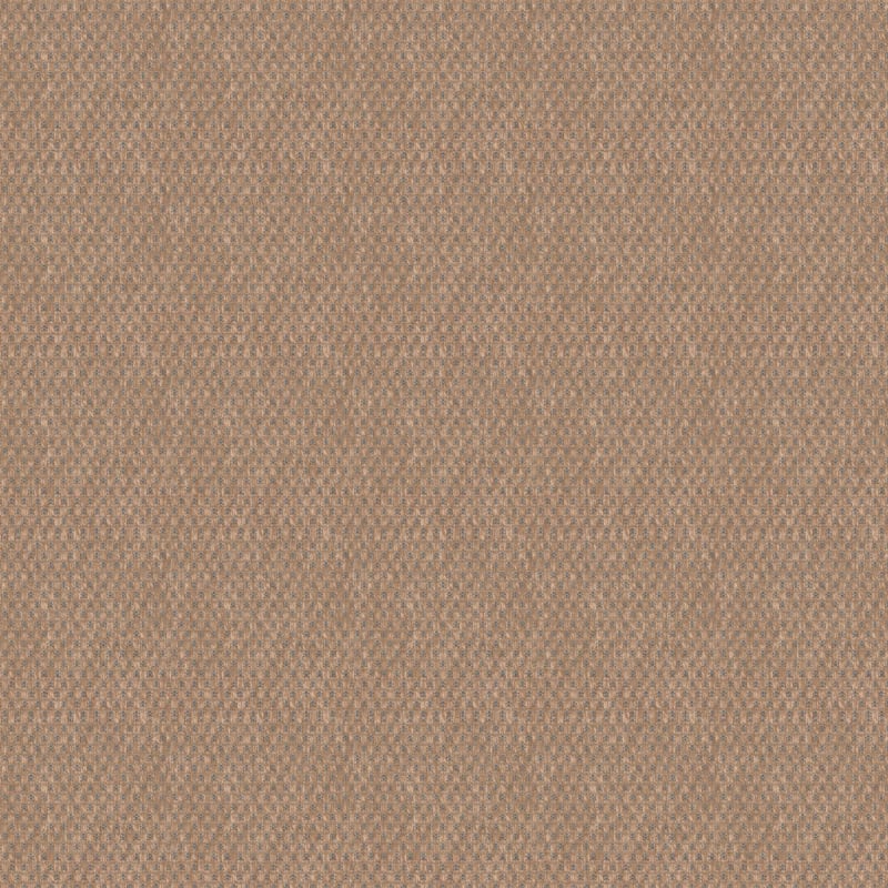 Trinidad carpet by Masland