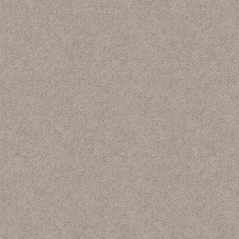 Embrace carpet by Masland