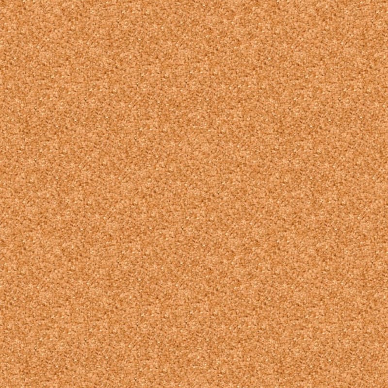 Opalesque carpet by Masland