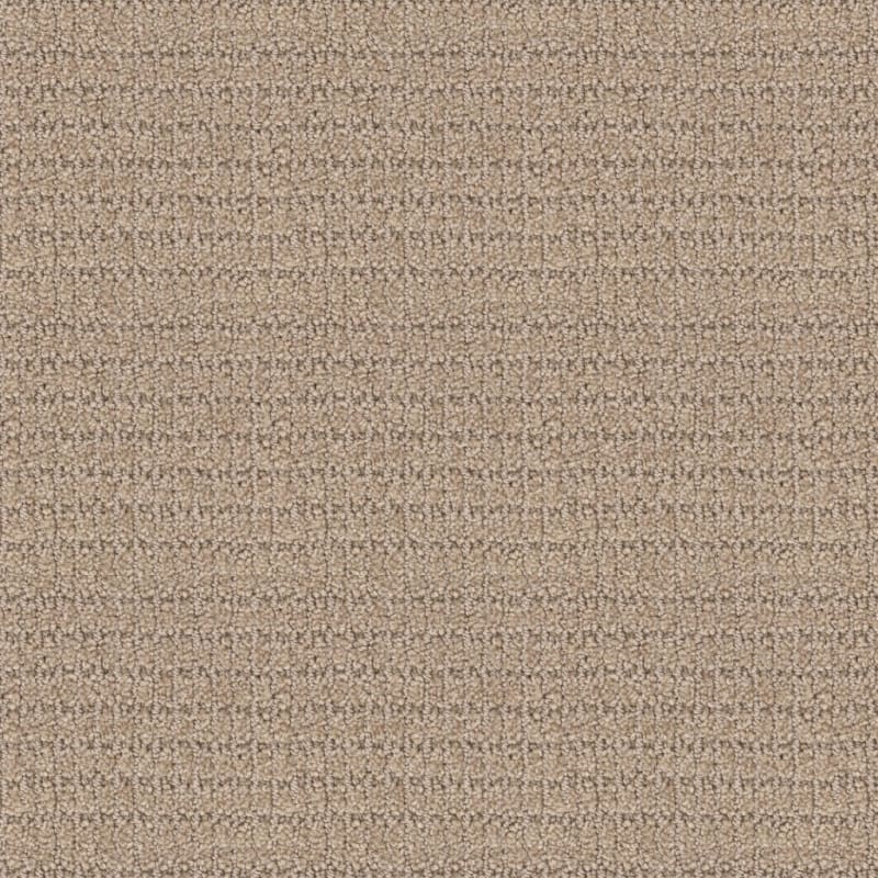 Defined carpet by Masland