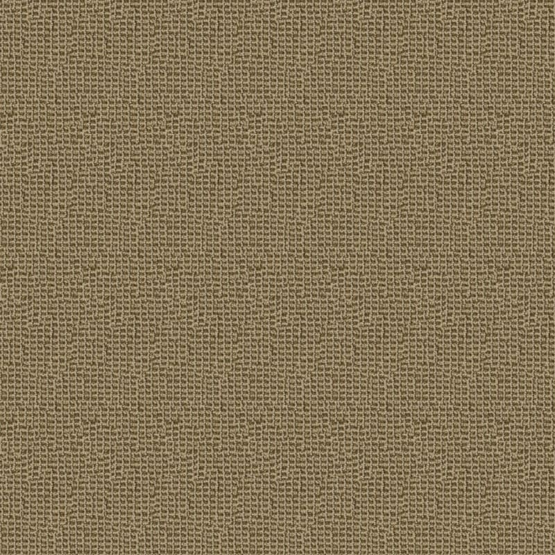 Tresor carpet by Masland