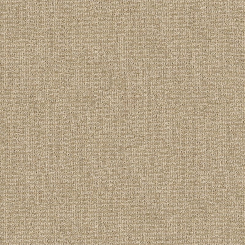 Serene Touch carpet by Masland