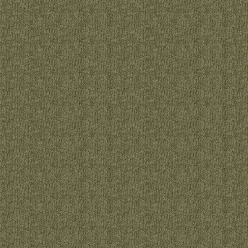 Casa Grande carpet by Masland