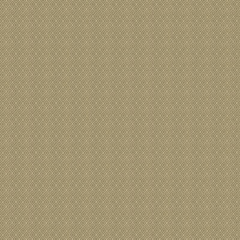 Marquis carpet by Masland