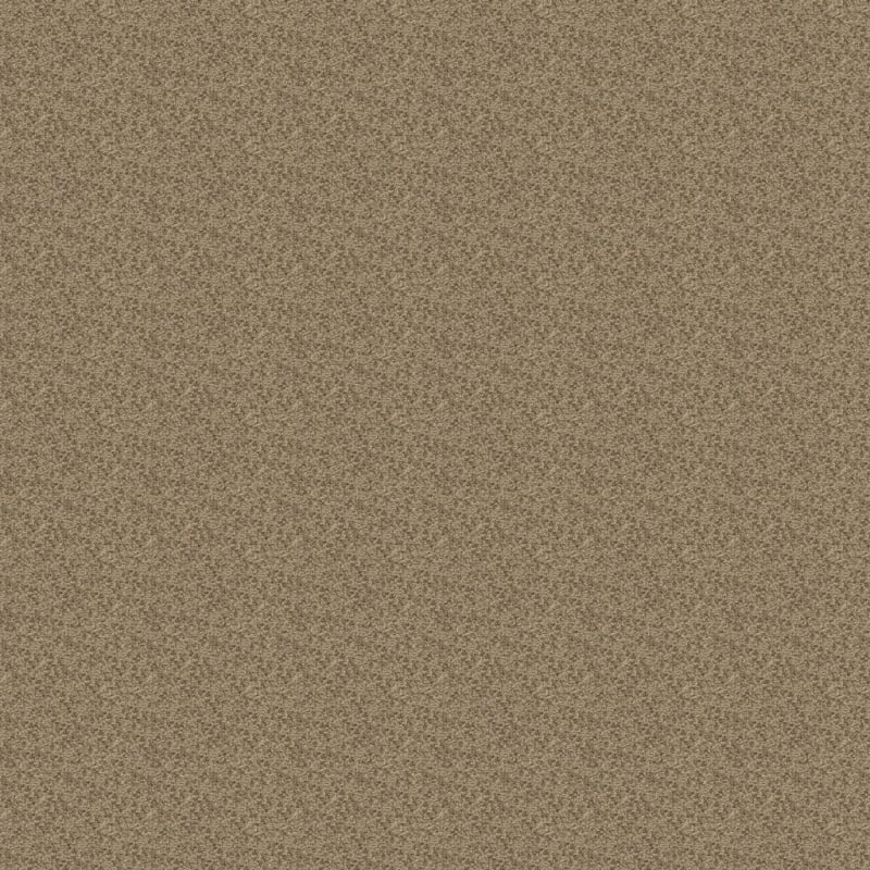 Morgan Bay carpet by Masland
