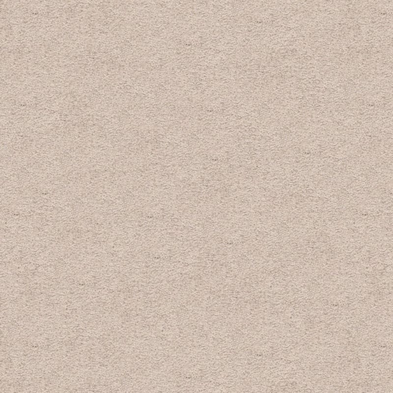 Knockout carpet by Masland