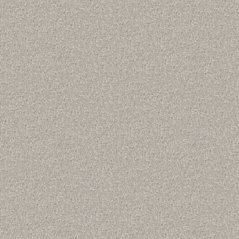 Hunter carpet by Masland
