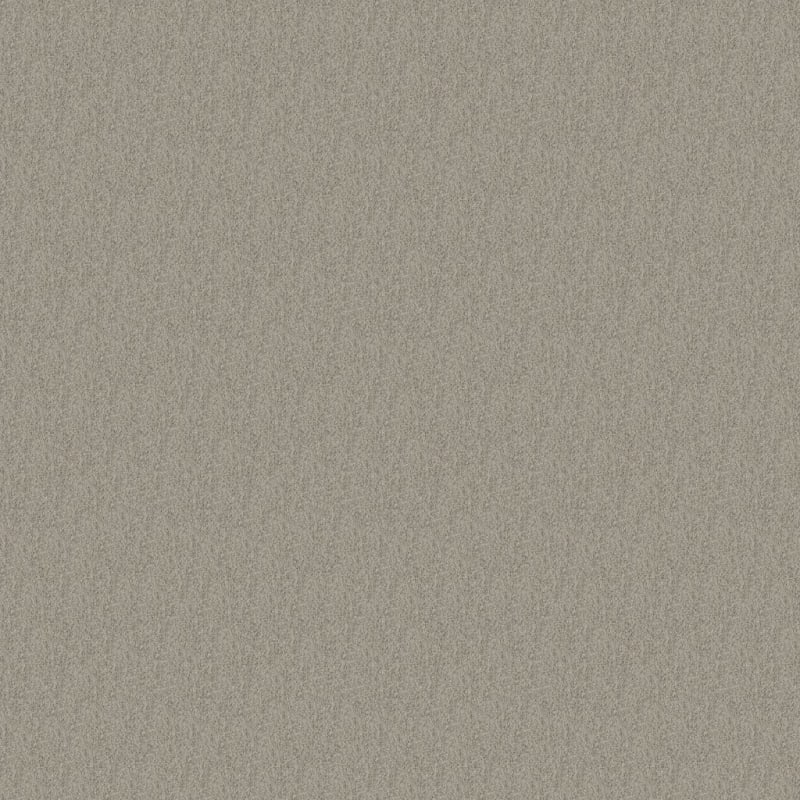 Miami carpet by Masland