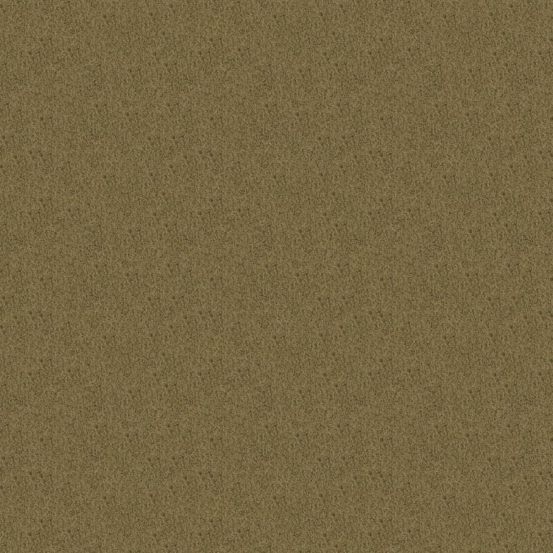 Americana carpet by Masland