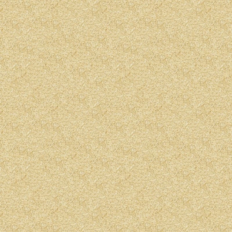 Delray carpet by Masland