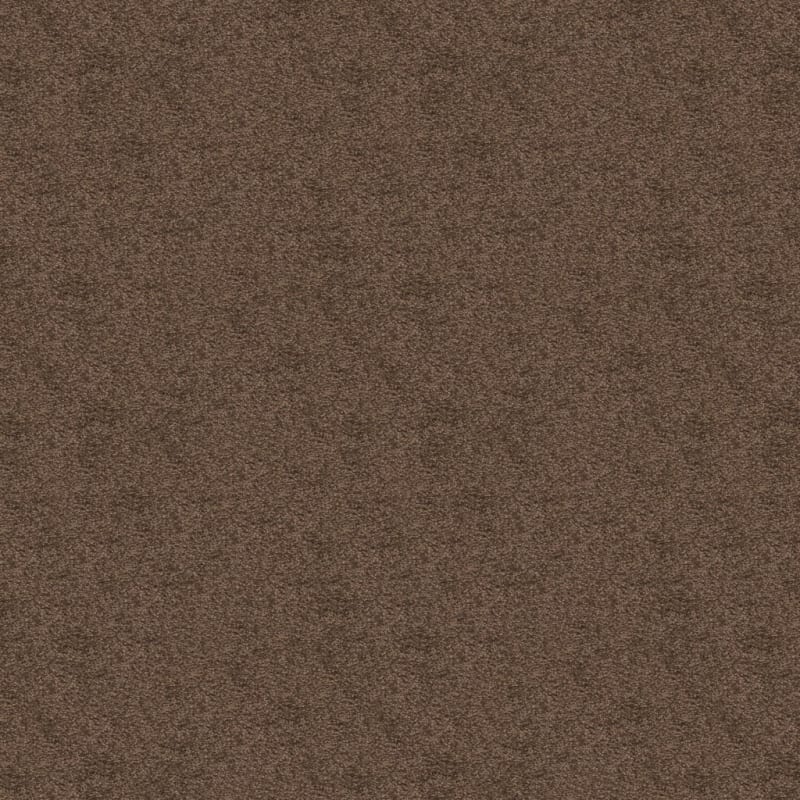 Knockout carpet by Masland