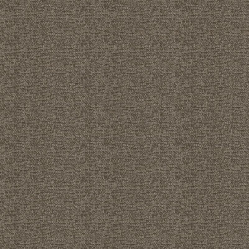 Pedigree carpet by Masland