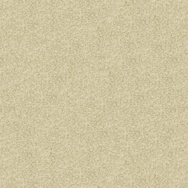 Opalesque carpet by Masland