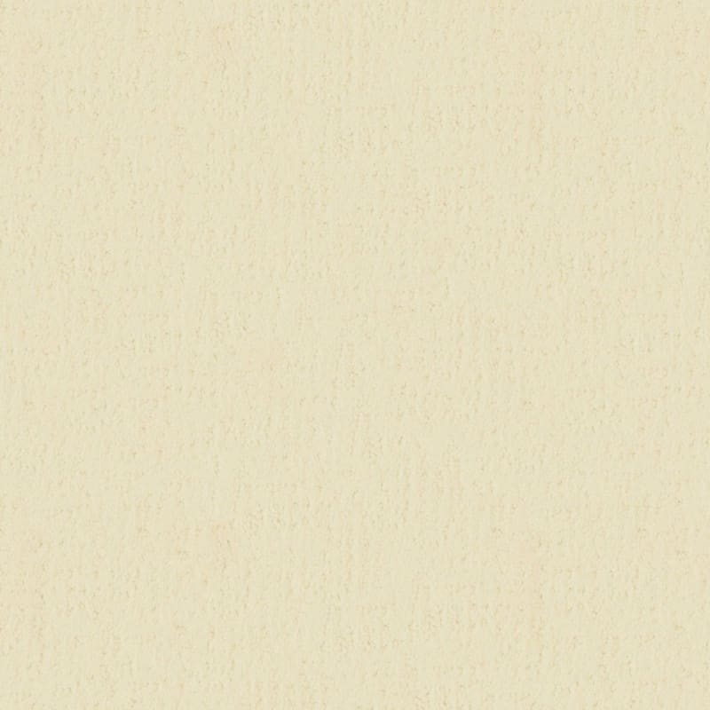 Santa Barbara carpet by Masland