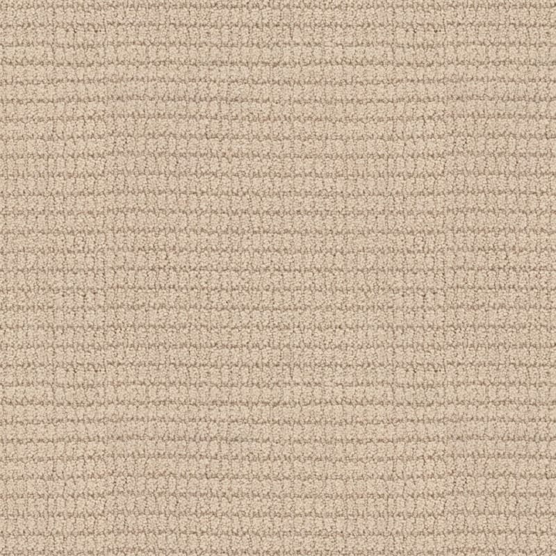 Defined carpet by Masland