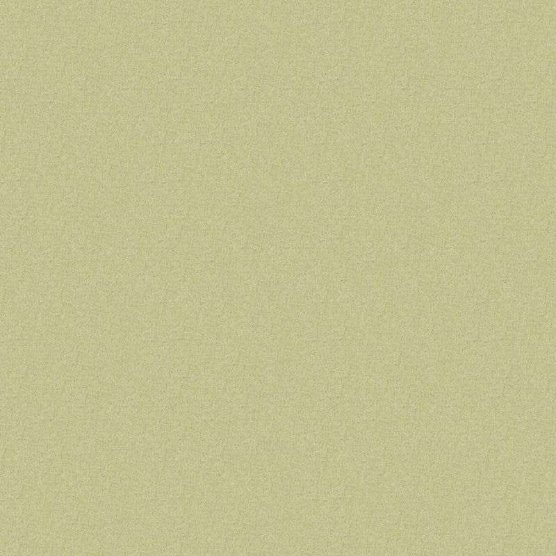 Key West carpet by Masland