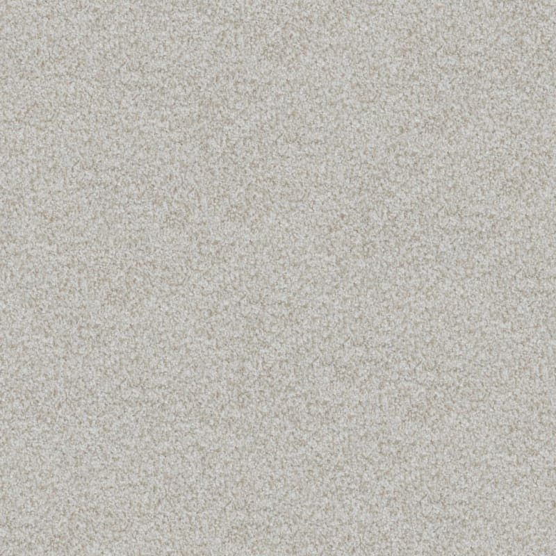 Boca Raton carpet by Masland
