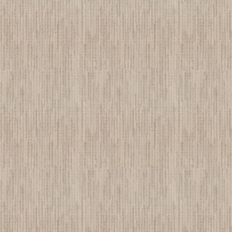 Imagine carpet by Masland