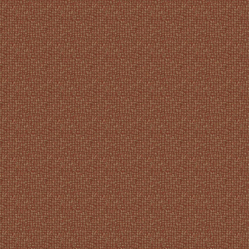Alpha carpet by Masland