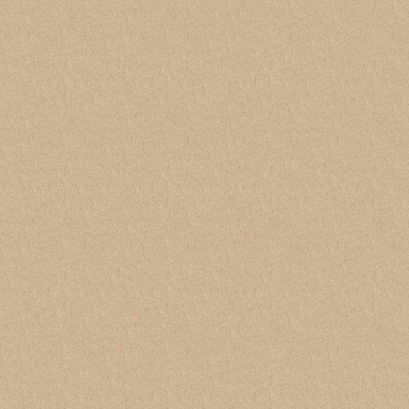 Key West carpet by Masland