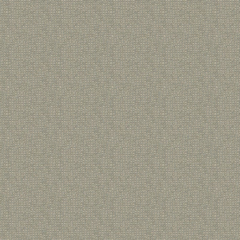 Alpha carpet by Masland