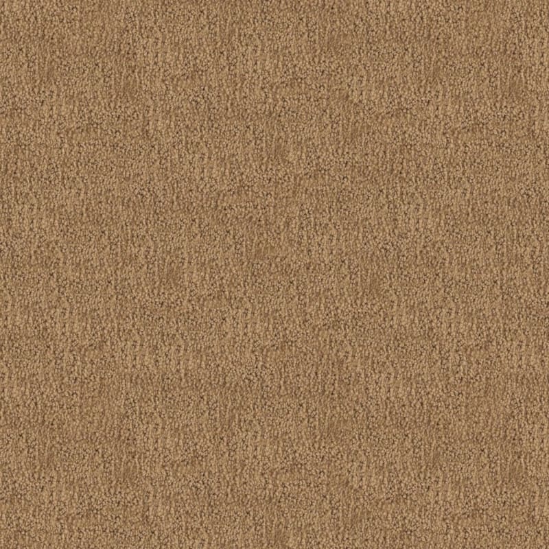Santa Barbara carpet by Masland