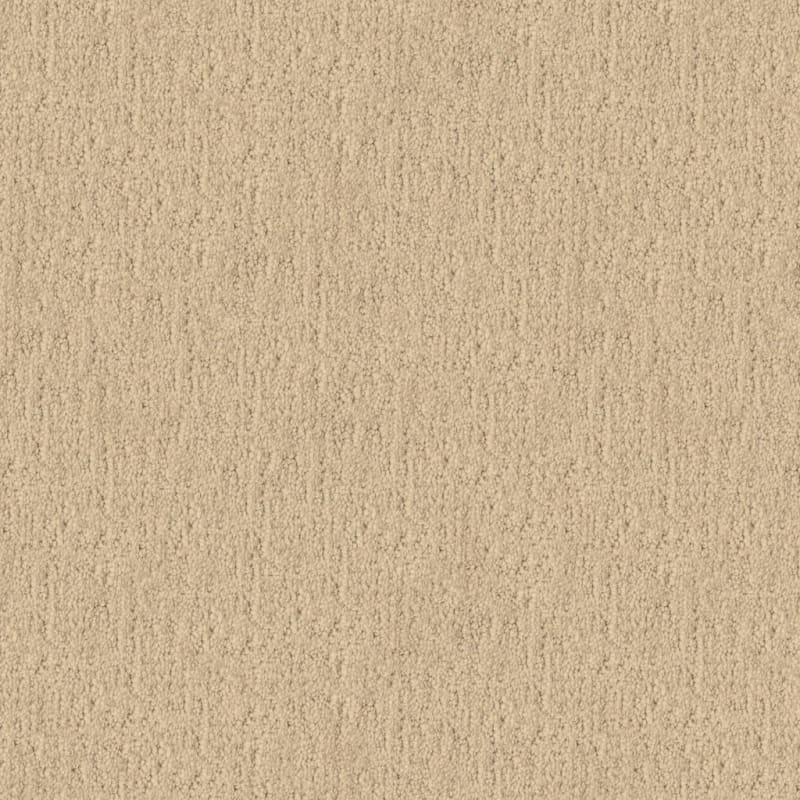 Santa Barbara carpet by Masland