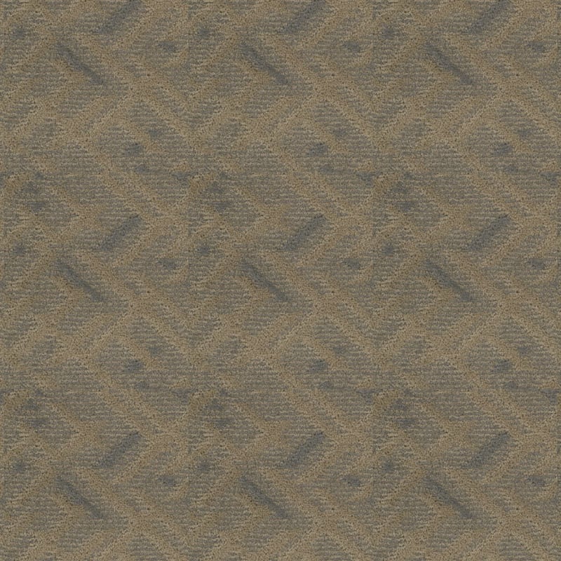 Orion carpet by Masland