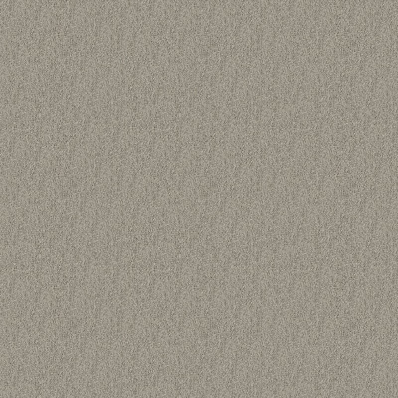 Oceanside carpet by Masland