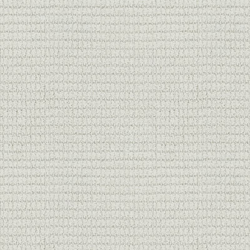 Defined carpet by Masland