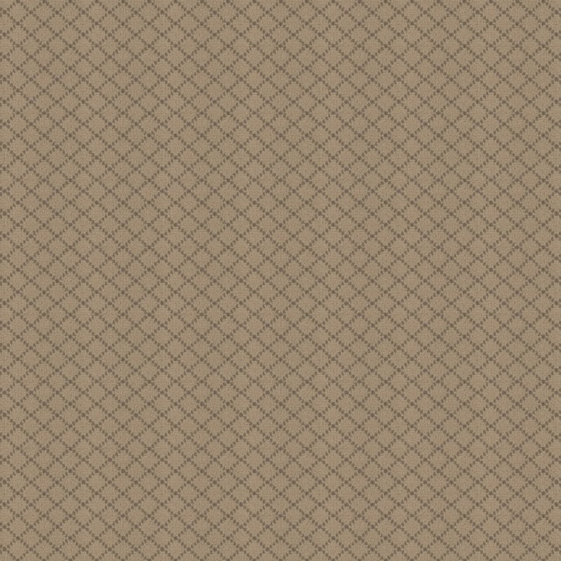 Charmant carpet by Masland