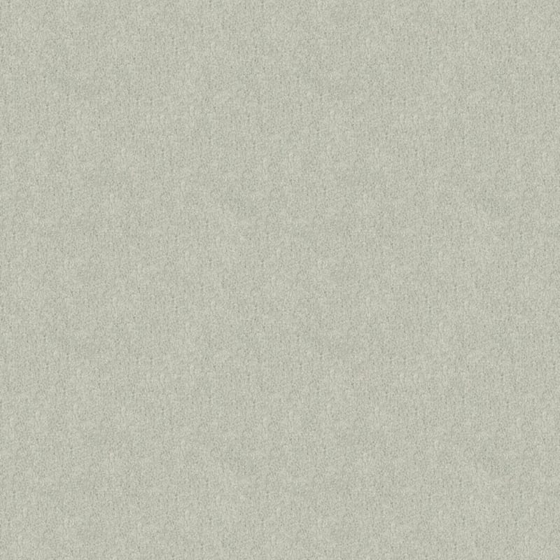 Oceanside carpet by Masland
