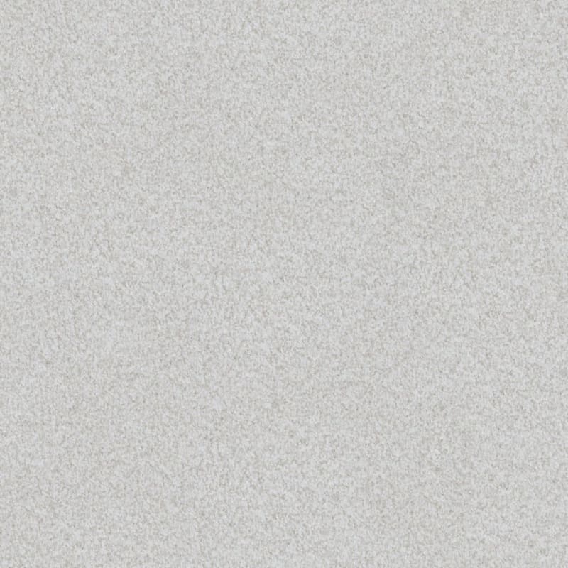 Boca Raton carpet by Masland