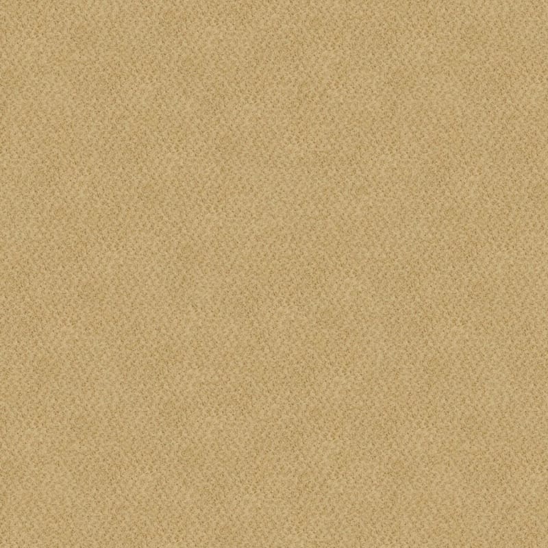 New Hope carpet by Masland