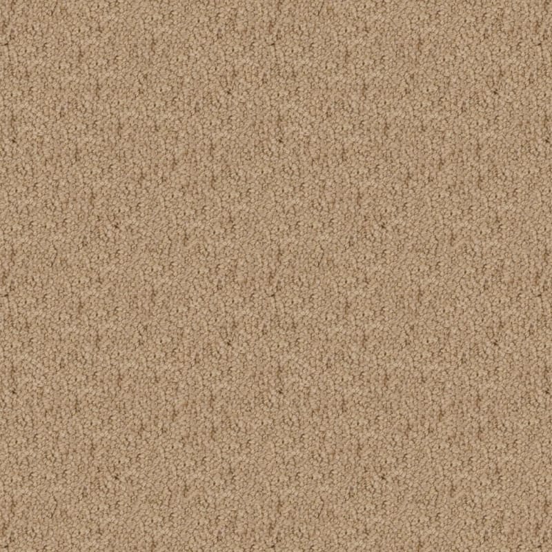Wexford carpet by Masland