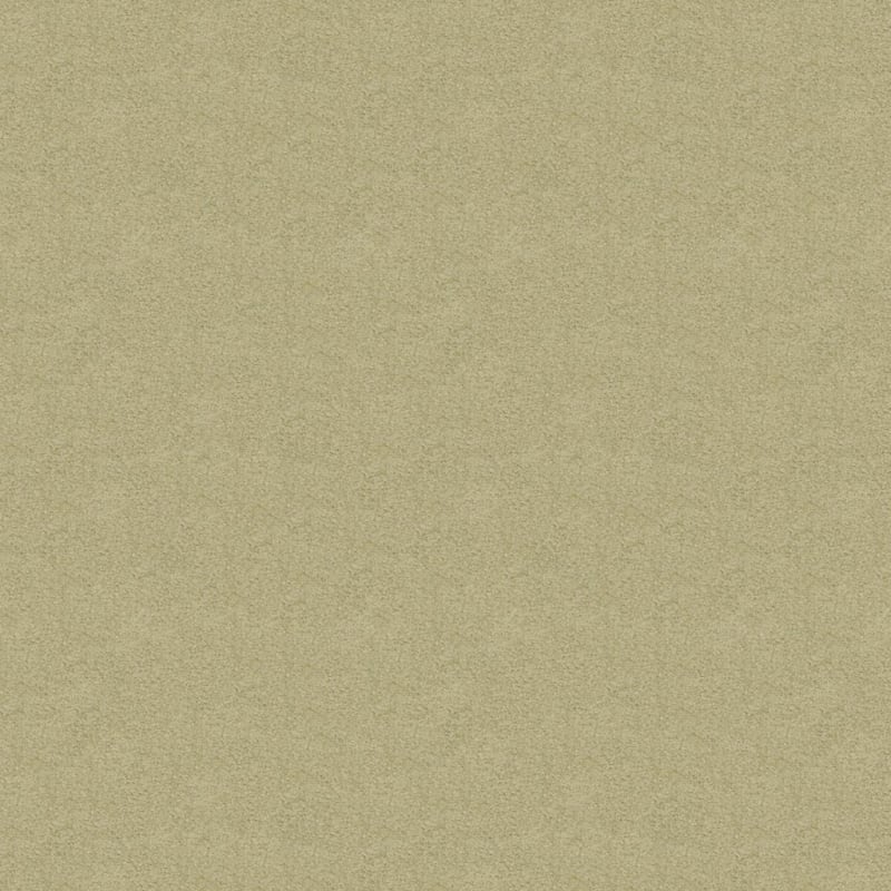Americana carpet by Masland