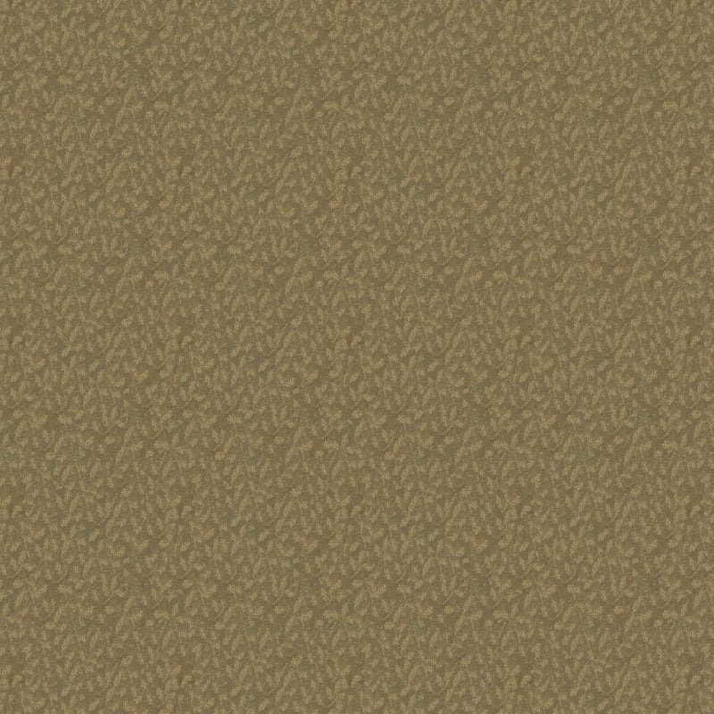 True Luxury carpet by Masland
