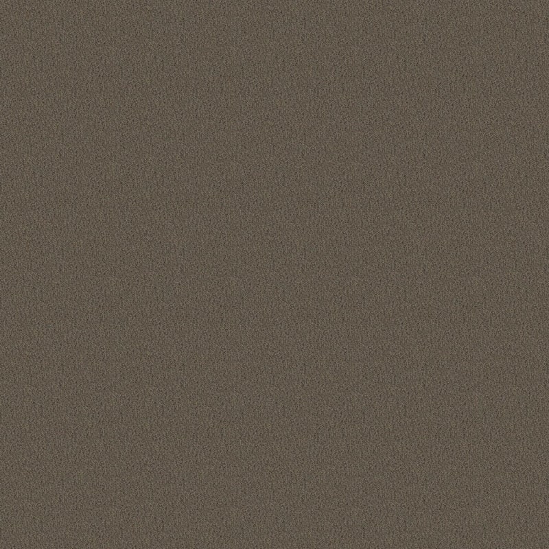 Panache carpet by Masland