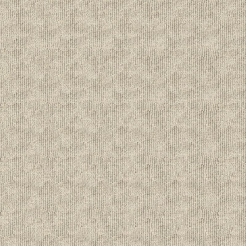 Beaucoup carpet by Masland