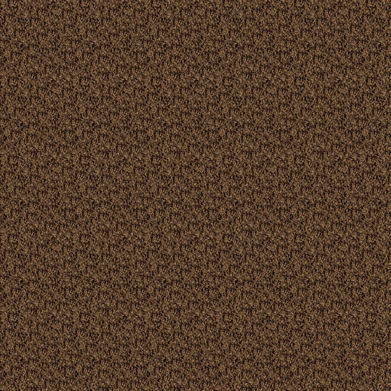 Shangri-La carpet by Masland