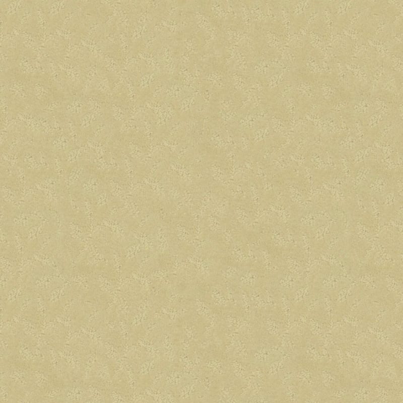 True Luxury carpet by Masland