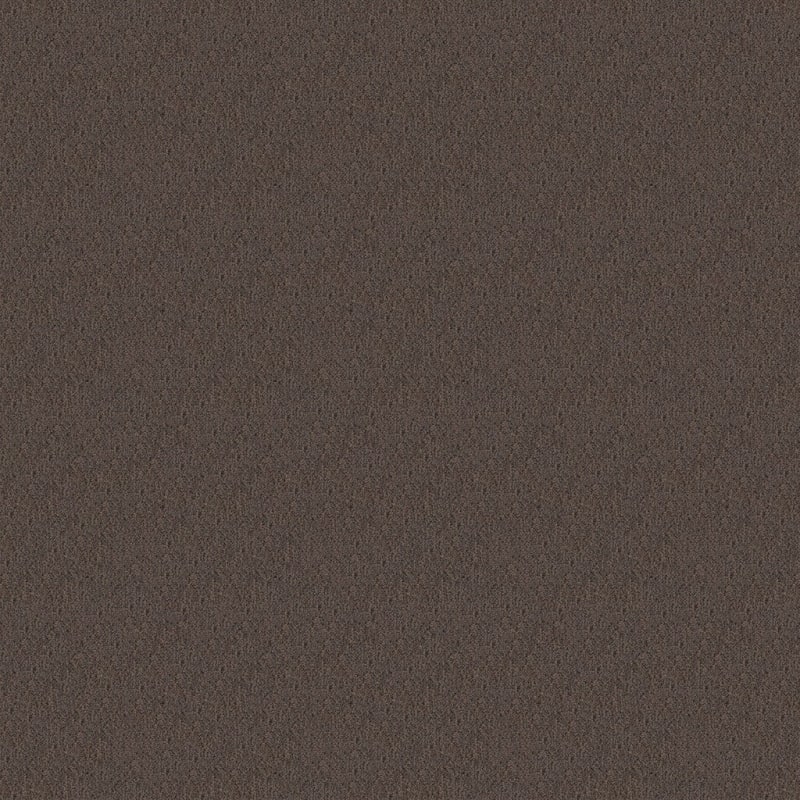 Panache carpet by Masland