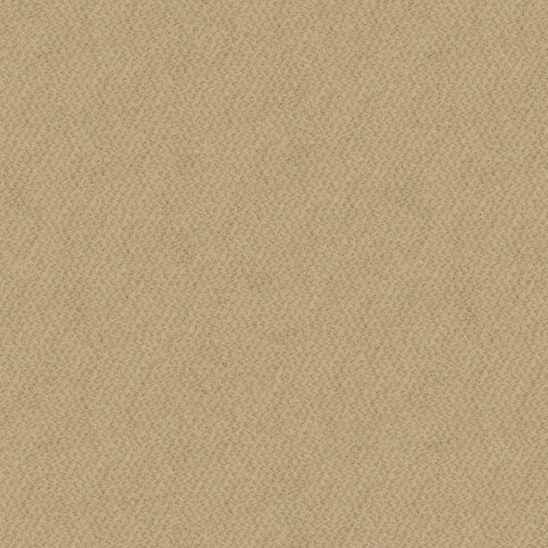 New Hope carpet by Masland