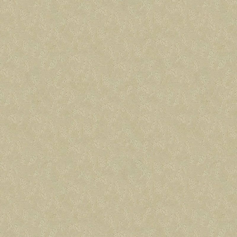 True Luxury carpet by Masland