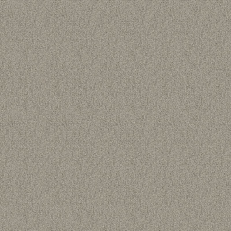 Key West carpet by Masland