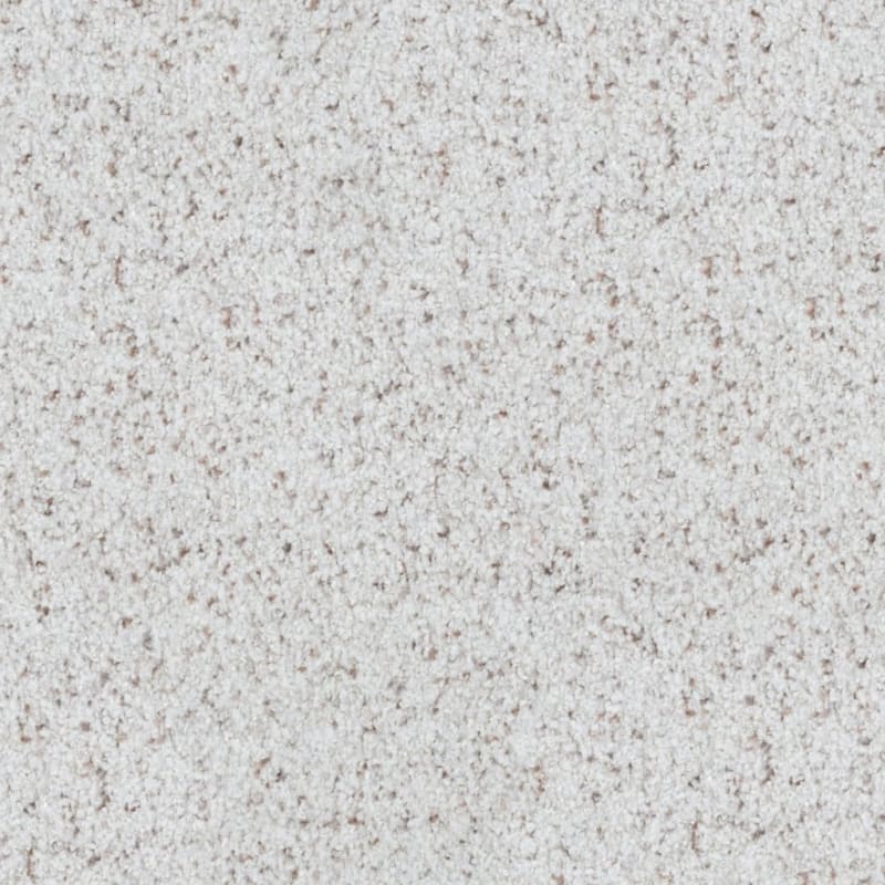 St. Augustine carpet by Masland